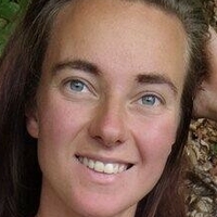 Приключения Паулеса Голая