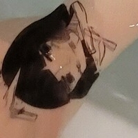 s2x6974892 / 미친년 Голая